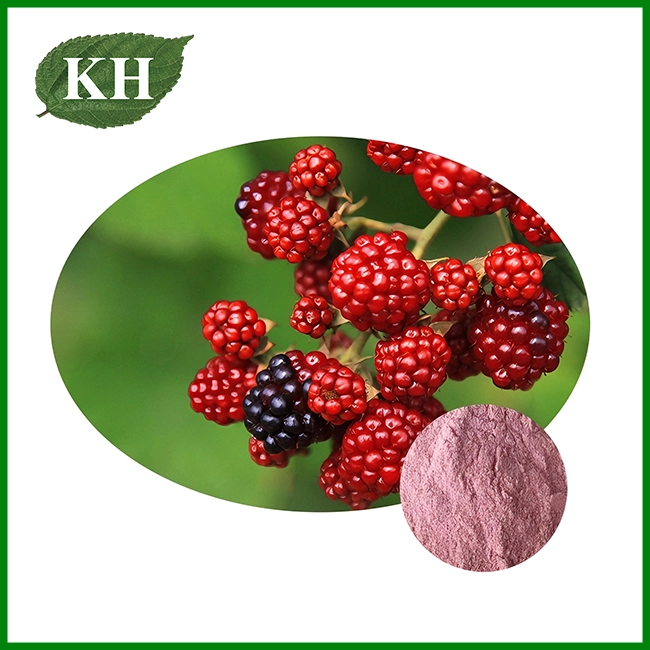 Raspberry Extract